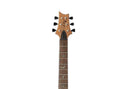 PRS SE Paul’s Guitar Turquoise – Guitarra Eléctrica con Gig Bag