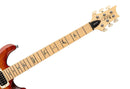 Guitarra Eléctrica PRS Guitars SE Swamp Ash Special Vintage Sunburst