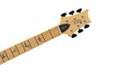 Guitarra Eléctrica PRS Guitars SE NF 53 Black Doghair