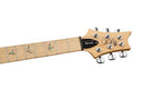 Guitarra Eléctrica PRS Guitars SE Swamp Ash Special Iri Blue