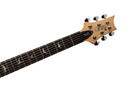 Guitarra Eléctrica PRS Guitars SE Studio Standard Sage Green