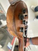 Gibson Firebrand The SG 1982