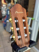 Guitarra Electroacústica Bamboo Pro Slim 39 Con Funda Acolchada