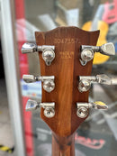 Gibson Firebrand The SG 1982