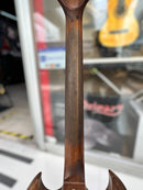 Gibson Firebrand The SG 1982