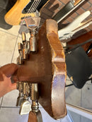 Gibson Firebrand The SG 1982