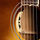 Guitarra Electroacústica Gibson SJ-200 Elegant Koa Honey Burst | CSJB20EKHB