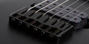 Guitarra Eléctrica Schecter Damien-6 Satin Black