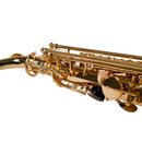 Saxofón Alto Benjamin Adams AS100 (BAAS100) – Estudiante en Mib