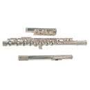 FLAUTA TRANSVERSAL BENJAMIN ADAMS FL100