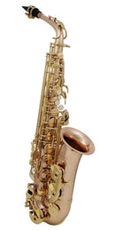 Saxofón Roy Benson AS-202G alto acabado laqueado dorado