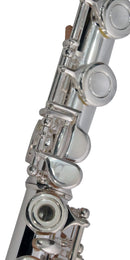 FLAUTA ROY BENSON TRANSVERSAL FL-402R