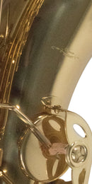 Saxofón Alto Wesner SSA1000-G – Estudiantil en Mib con estuche y boquilla