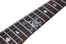 GUITARRA ELECTRICA SCHECTER PETE DEE PT GLOSS BLACK