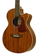 Guitarra Electroacustica Aria FET-R1 MH Caoba