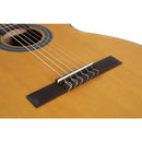 Guitarra Electro Acustica Gewa VG500160