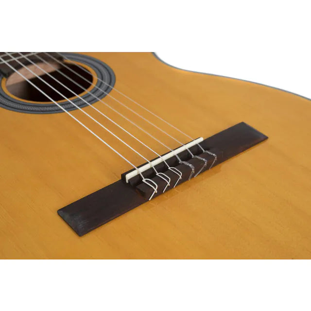 Guitarra Electro Acustica Gewa VG500160