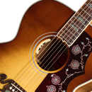 Golpeador estilo carey de la Gibson SJ-200 Elegant Koa