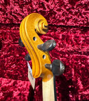 Violin Paris 3/4 012LEF DELUXE Con Cojin De Regalo DT