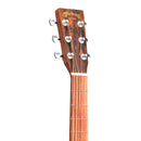 Fondo Ziricote HPL de guitarra Martin GPC-X2E
