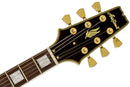 Guitarra Eléctrica Aria Pro II PE-350CST AGWH Aged White