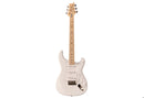Guitarra eléctrica PRS Silver Sky Maple Frost vista frontal