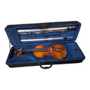 Violin Premium Tamaño 4/4 AB26