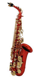 Saxofón Alto Roy Benson AS-202R vista frontal