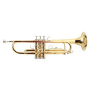 Trompeta Roy Benson TR-101 en Sib vista frontal