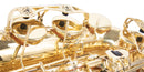 Detalle del cuerpo del Saxofón Alto Wesner PSA2000-L en latón laqueado