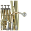 Pistones de acero inoxidable del saxor Roy Benson AH-301