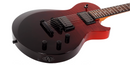 Detalles de los controles y selector schecter bloodburst solo ii