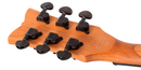 headstock de la schecter solo i bloodburst