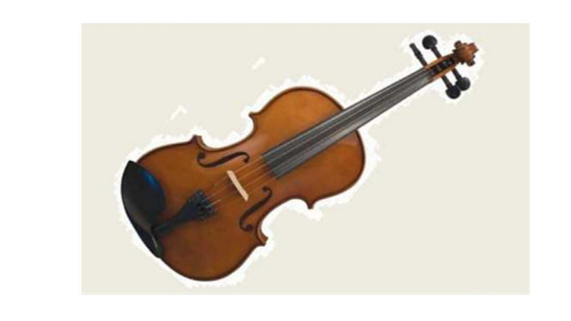 Violin Alfred Schroetter 4/4 AS/060-V