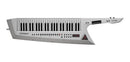 Sintetizador Roland KEYTAR AX EDGE