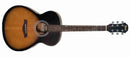 Guitarra Clasica Fiesta Folk FST-F65 TS