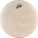 PARCHE EVANS PARA TOM 13 MOD. TT13C7